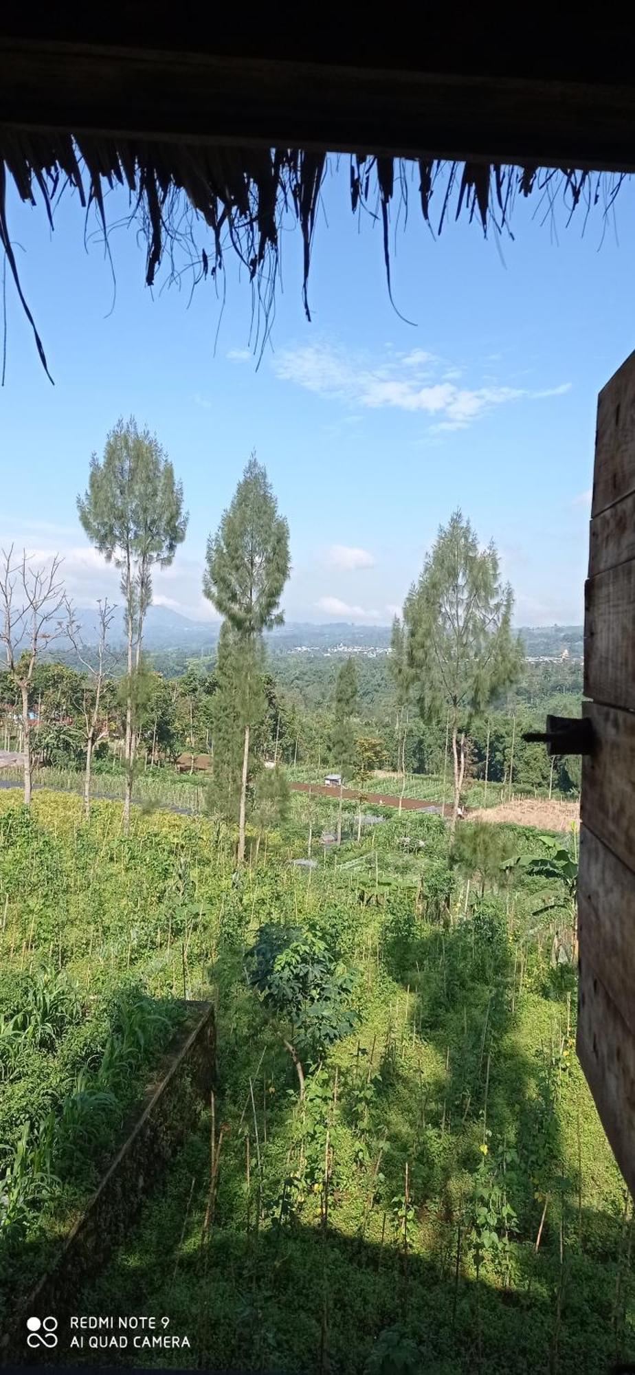 Harumi Dieng Wonosobo Room photo