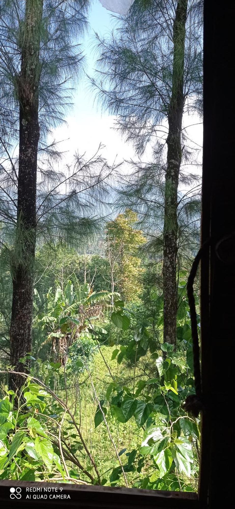 Harumi Dieng Wonosobo Room photo